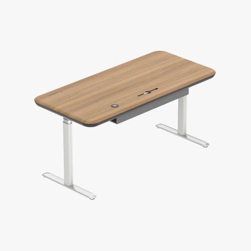 Early-bird Lunar Ergonomic Standing Desk