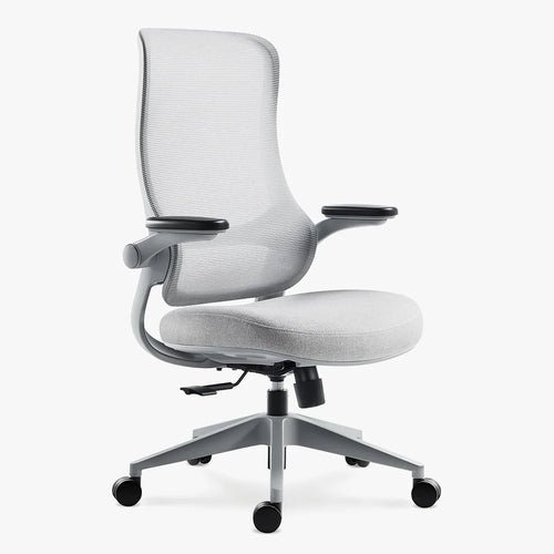 Resistance Color Ergonomic Office Chair