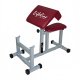 Lifeline IF 7113 Arm Curl Bench