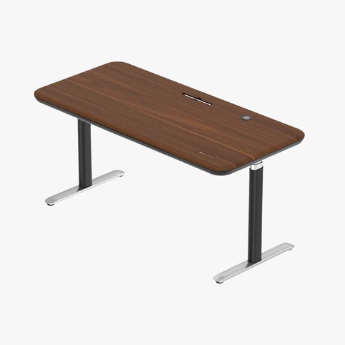 Early-bird Lunar Ergonomic Standing Desk