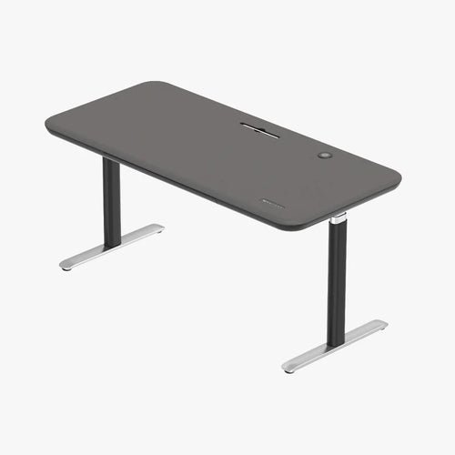 Early-bird Lunar Ergonomic Standing Desk