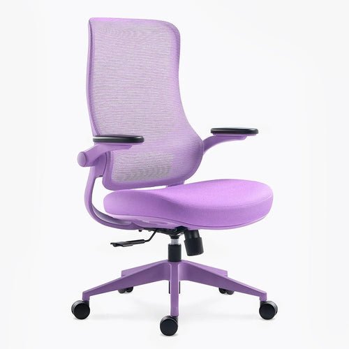 Resistance Color Ergonomic Office Chair