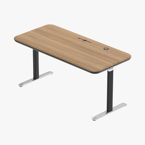 Early-bird Lunar Ergonomic Standing Desk