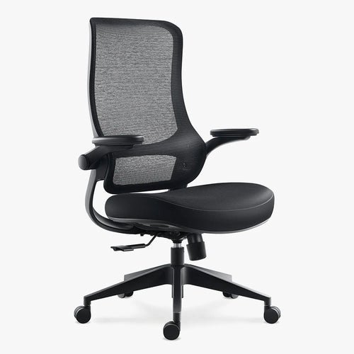 Resistance Color Ergonomic Office Chair