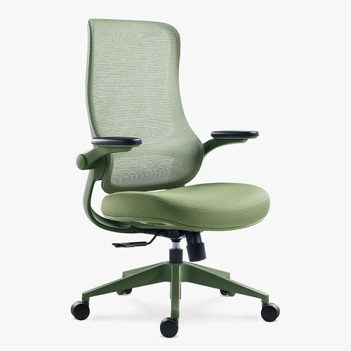 Resistance Color Ergonomic Office Chair